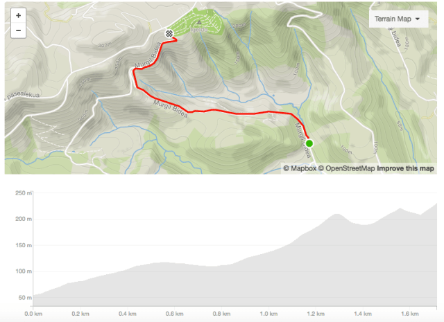 Screen Shot 2017-07-24 at 13.43.21